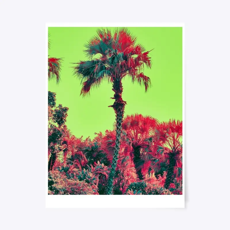 Neon Palms by Forgot Where I Was